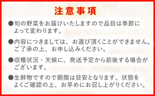 野菜 果物 きのこ 詰め合わせ 7〜10品目 旬 新鮮 セット