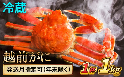 【配送月指定可】【先行予約】越前がに 1kg ×1ハイ【2024年11月7日より順次発送】｜蟹 かに カニ 越前ガニ 越前がに ズワイガニ ずわいがに ボイル 1kg 1杯 1ハイ 福井 冷蔵 送料無料 1469061 - 福井県小浜市