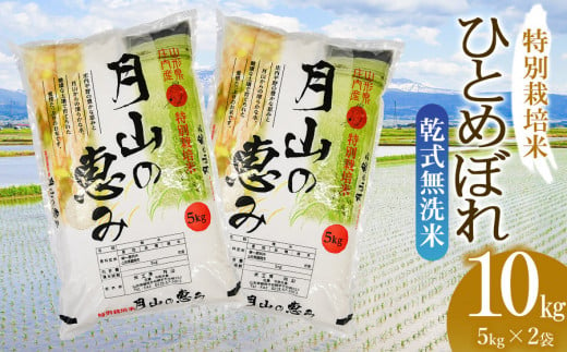 【令和6年産 新米】 特別栽培米 ひとめぼれ 乾式無洗米 10kg（5kg×2袋）山形県鶴岡市産　米工房 月山 1091980 - 山形県鶴岡市