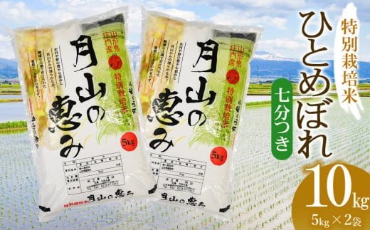 【令和6年産 新米】 特別栽培米 ひとめぼれ 七分づき 10kg（5kg×2袋）山形県鶴岡市産　米工房 月山 1466825 - 山形県鶴岡市