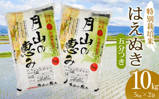 [令和6年産 新米] 特別栽培米 はえぬき 五分づき 10kg(5kg×2袋)山形県鶴岡市産 米工房 月山