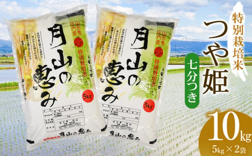 【令和6年産 新米】  特別栽培米 つや姫 七分づき 10kg（5kg×2袋）山形県鶴岡市産　米工房 月山 1466784 - 山形県鶴岡市