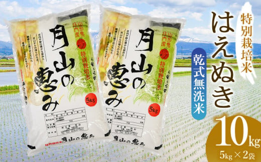 【令和6年産】  特別栽培米 はえぬき 乾式無洗米 10kg（5kg×2袋）山形県鶴岡市産　米工房 月山 469053 - 山形県鶴岡市