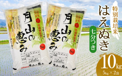 【令和6年産 新米】 特別栽培米 はえぬき 七分づき 10kg（5kg×2袋）山形県鶴岡市産　米工房 月山 1466806 - 山形県鶴岡市