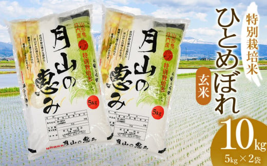 [令和6年産] 特別栽培米 ひとめぼれ 玄米 10kg(5kg×2袋)山形県鶴岡市産 米工房 月山