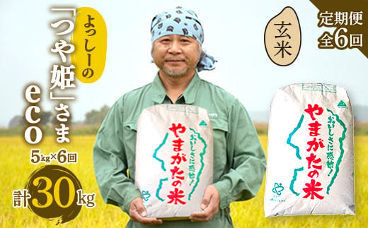 【定期便全6回】令和6年産よっしーの「つや姫」さまeco（玄米）5kg×6 米 お米 おこめ 山形県 新庄市 F3S-1629 816934 - 山形県新庄市