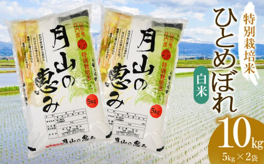 【令和6年産 新米】 特別栽培米 ひとめぼれ 白米 10kg（5kg×2袋）山形県鶴岡市産　米工房 月山 1466826 - 山形県鶴岡市