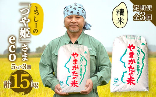 【定期便全3回】令和6年産よっしーの「つや姫」さまeco（精米）5kg×3 米 お米 おこめ 白米 山形県 新庄市 F3S-1624 816929 - 山形県新庄市