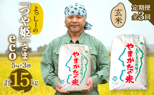 【定期便全3回】令和6年産よっしーの「つや姫」さまeco（玄米）5kg×3 米 お米 おこめ 山形県 新庄市 F3S-1625 816930 - 山形県新庄市