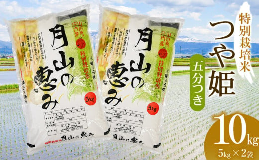 【令和6年産 新米】  特別栽培米 つや姫 五分づき 10kg（5kg×2袋）山形県鶴岡市産　米工房 月山 1466783 - 山形県鶴岡市