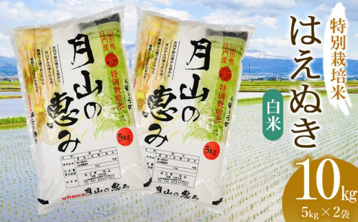 【令和6年産 新米】 特別栽培米 はえぬき 白米 10kg（5kg×2袋）山形県鶴岡市産　米工房 月山 1466807 - 山形県鶴岡市