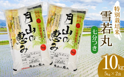 [令和6年産] 特別栽培米 雪若丸 七分づき 10kg(5kg×2袋)山形県鶴岡市産 米工房 月山