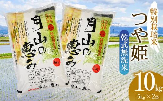 【令和6年産 新米】  特別栽培米 つや姫 乾式無洗米 10kg（5kg×2袋）山形県鶴岡市産　米工房 月山 469052 - 山形県鶴岡市