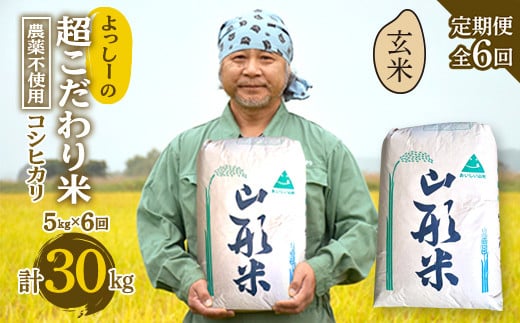 【定期便全6回】令和6年産よっしーの超こだわり米（農薬不使用) コシヒカリ（玄米）5kg×6 米 お米 おこめ 山形県 新庄市 F3S-1631 816936 - 山形県新庄市