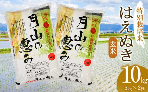 【令和6年産 新米】 特別栽培米 はえぬき 玄米 10kg（5kg×2袋）山形県鶴岡市産　米工房 月山 1466804 - 山形県鶴岡市