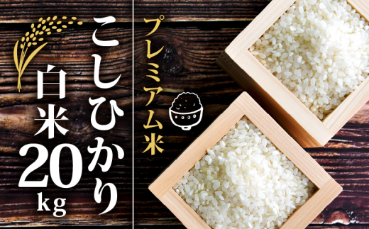 令和4年産「宮崎県産ヒノヒカリ 無洗米」2kg×6袋＞翌々月末迄に順次出荷｜ふるラボ