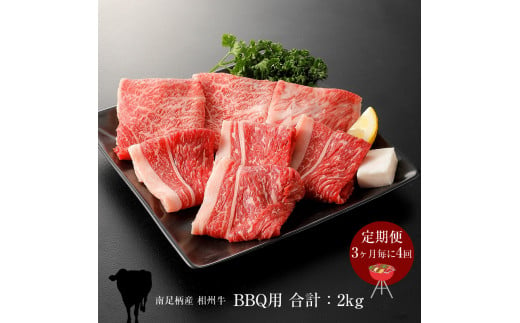 【定期便：3ヶ月毎に4回】相州牛（BBQ用セット）500g【合計２kg】 【 牛肉 お肉 ブランド牛 神奈川県 南足柄市 】 1484578 - 神奈川県南足柄市