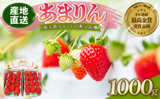 【 予約受付 】 あまりん DXパック 1kg （ 250ｇ × 4P ） 4月発送 いちご 苺 ストロベリー 産地直送 ご当地 果物 くだもの フルーツ デザート 食品 冷蔵 ロコファーム 埼玉県 羽生市 1446846 - 埼玉県羽生市