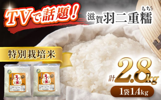 【12月発送】愛知県産滋賀羽二重糯 計2.8kg 1.4kg（1升）2袋セット 特別栽培米 もち米 ご飯／戸典オペレーター [AECT001-12] 1467738 - 愛知県愛西市