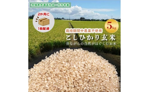 ＜2ヵ月毎定期便＞栽培期間中農薬不使用＜こしひかり＞玄米5kg茨城県共通返礼品・行方市産全6回【4055828】