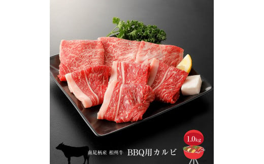 相州牛　BBQ用セット　1.0kg （厚切り＆薄切りセット） 【 牛肉 お肉 ブランド牛 神奈川県 南足柄市 】 1484569 - 神奈川県南足柄市