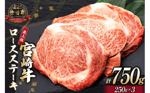 【最上等級使用！】 牛肉 宮崎牛 ロース ステーキ 250g × 3枚 計750g [ミヤチク 宮崎県 日向市 452060772-os] 小分け 個包装 和牛 ブランド牛 黒毛和牛 冷凍 4等級 5等級【お歳暮】