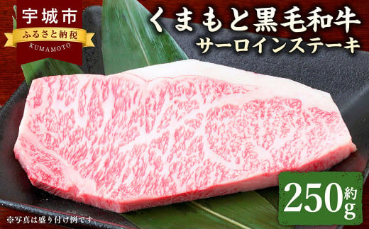 くまもと黒毛和牛 サーロインステーキ 250g 肉 お肉 牛 牛肉 和牛 サーロイン ステーキ 熊本 冷凍 1467449 - 熊本県宇城市