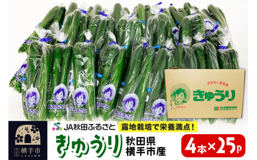 秋田県横手市産 きゅうり 4本入×25袋 約10kg 1467045 - 秋田県横手市