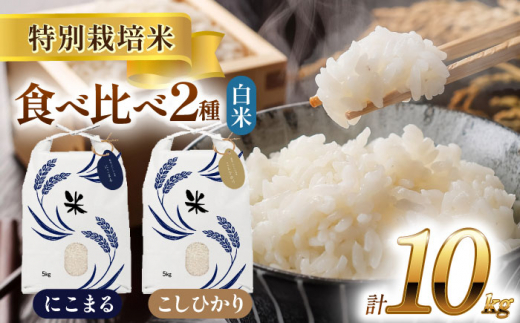 【12月発送】愛知県産 コシヒカリ・にこまる 白米 各5kg 特別栽培米 お米 ご飯 愛西市／戸典オペレーター [AECT006-12] 1467798 - 愛知県愛西市