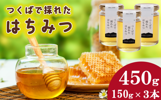 つくばで採れたはちみつ 150g×3 本【 茨城県 つくば市 はちみつ ハチミツ 蜂蜜 蜜蜂 みつばち ミツバチ 養蜂 】 1501952 - 茨城県つくば市