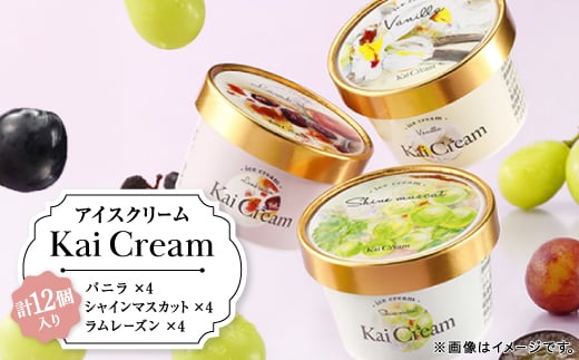 やまなし産の大粒ぶどう、シャインマスカット入りアイスクリーム『KaiCream』12個入り【1132215】 337268 - 山梨県山梨市