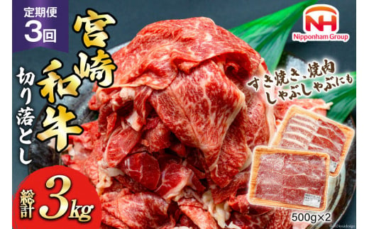 日本ハム 牛肉 3回 定期便 宮崎県 和牛 切り落とし 500g ×2p 計 1kg [日本ハムマーケティング 宮崎県 日向市 452061041] すき焼き しゃぶしゃぶ 赤身 小分け 冷凍 訳あり 1472847 - 宮崎県日向市