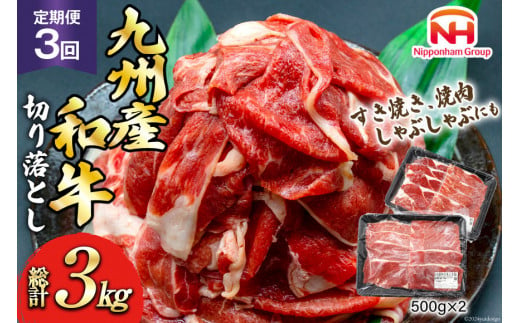 日本ハム 牛肉 3回 定期便 九州産 和牛 切り落とし 500g ×2p 計 1kg [日本ハムマーケティング 宮崎県 日向市 452061040] すき焼き しゃぶしゃぶ 赤身 小分け 冷凍 訳あり 1472666 - 宮崎県日向市