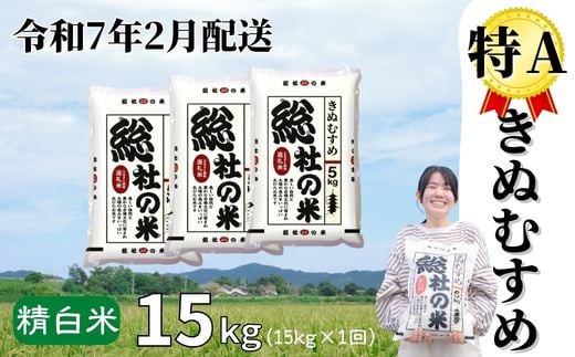 【令和6年産米】特Aきぬむすめ【精白米】15kg 岡山県総社市産〔令和7年2月配送〕24-017-004