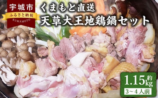 くまもと直送 天草大王 地鶏鍋 セット （3～4人前） 鶏 鶏肉 お肉 肉 鍋 地鶏 冷凍