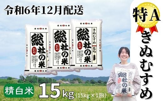 【令和6年産米】特Aきぬむすめ【精白米】15kg 岡山県総社市産〔令和6年12月配送〕24-017-003 1471988 - 岡山県総社市