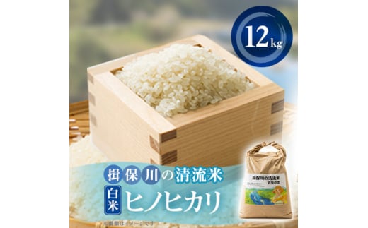 令和6年産　揖保川の清流米(ヒノヒカリ12kg)　＜白米＞【1541764】