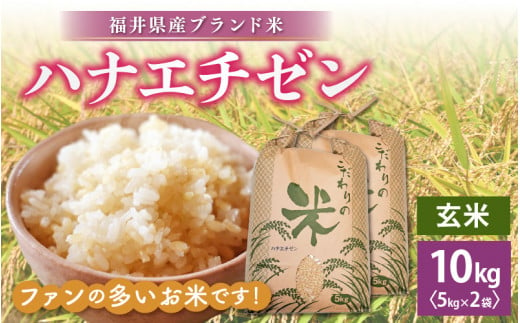 ハナエチゼン 10kg 令和6年 新米 福井県産【玄米】【お米 はなえちぜん 華越前 10キロ】 [e30-a068]