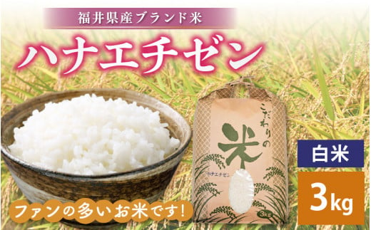 ハナエチゼン 3kg 令和6年 新米 福井県産[白米][お米 こめ 米 コメ 精米 はなえちぜん 華越前 3キロ 少量 お試し] [e30-a065]