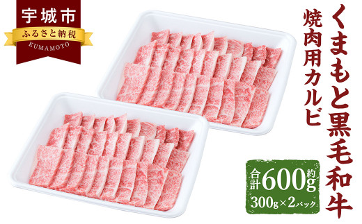 くまもと黒毛和牛 焼肉用 カルビ 600g （300g×2パック） 肉 お肉 牛 牛肉 和牛 焼肉 やきにく 焼き肉 熊本 冷凍