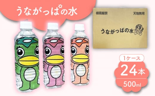 うながっぱの水 1ケース（ 500ml ペットボトル × 24本 ） 多治見市 /多治見市観光協会 ミネラルウォーター 備蓄 [TAQ006]