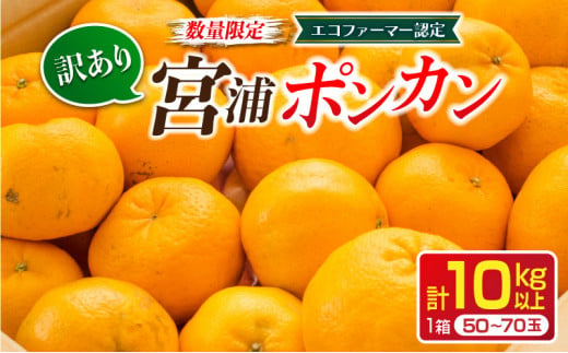 先行予約 訳あり 数量限定 宮浦 ポンカン 計10kg以上 フルーツ 果物 くだもの 柑橘 みかん 国産 食品 期間限定 訳アリ おすすめ デザート おやつ フルーツサンド ジュース ご家庭用 ご自宅用 B品 おすそ分け 不揃い 傷 産地直送 宮崎県 日南市 送料無料_CA54-24