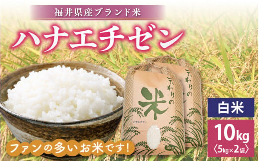 ハナエチゼン 10kg 令和6年 新米 福井県産【白米】【お米 こめ 米 コメ 精米 はなえちぜん 華越前 10キロ】 [e30-a069]