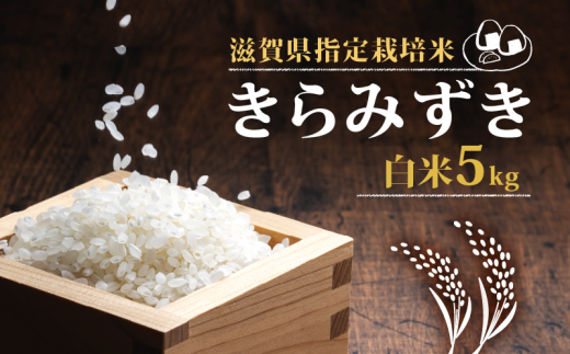 新米 【令和6年10月中旬より順次発送】 きらみずき 白米 5kg 2024年産  化学肥料不使用 滋賀県指定栽培米 国産 安心 安全 近江米 米 お米 白米 お弁当 玄米 産地直送 滋賀県 竜王町 送料無料