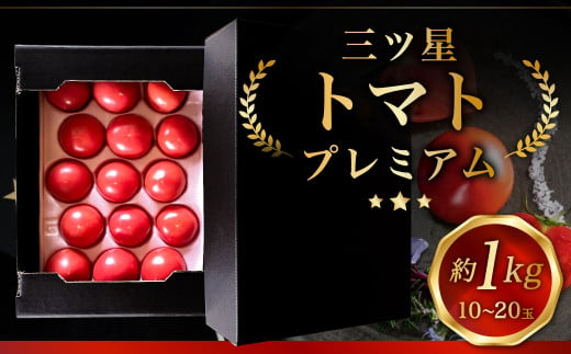 三ッ星トマト プレミアム 約1kg （10～20玉） 野菜 生野菜 トマト とまと 糖度11度以上 国産 【2025年3月上旬から5月下旬発送予定】