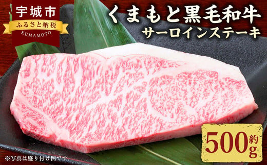 くまもと黒毛和牛 サーロインステーキ 500g （250g×2パック） 肉 お肉 牛 牛肉 和牛 サーロイン ステーキ 熊本 冷凍 1467476 - 熊本県宇城市