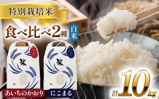 【11月発送】愛知県産 にこまる・あいちのかおり 白米 各5kg 特別栽培米 お米 ご飯 愛西市／戸典オペレーター [AECT004-11] 1467773 - 愛知県愛西市