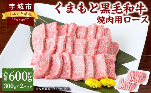 くまもと黒毛和牛 焼肉用 ロース 600g （300g×2パック） 肉 お肉 牛 牛肉 和牛 焼肉 やきにく 焼き肉 熊本 冷凍 1467516 - 熊本県宇城市