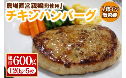 【浅沼養鶏場】チキンハンバーグ 約120g×5枚 (約600g) 農場直営親鶏肉使用 (AJ017)