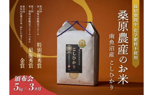 令和6年産 】新潟県 南魚沼産 コシヒカリ お米 こしひかり 精米 白米 のし 贈り物 熨斗 贈答用 令和6年産 旧塩沢町 中之島地区産  薬師ベストファーマー米 10kg(5kg×2袋) - 新潟県南魚沼市｜ふるさとチョイス - ふるさと納税サイト